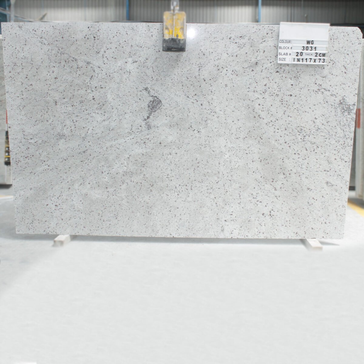 Titanium White Granite Slab with Grey Veins