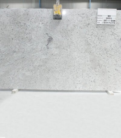Titanium White Granite Slab with Grey Veins