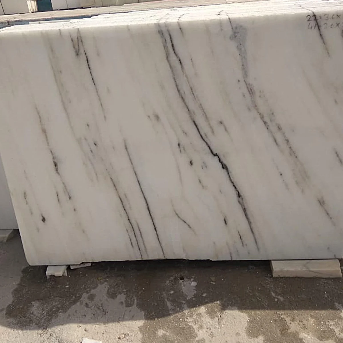 Indian white Albeta Marble tiles for premium flooring