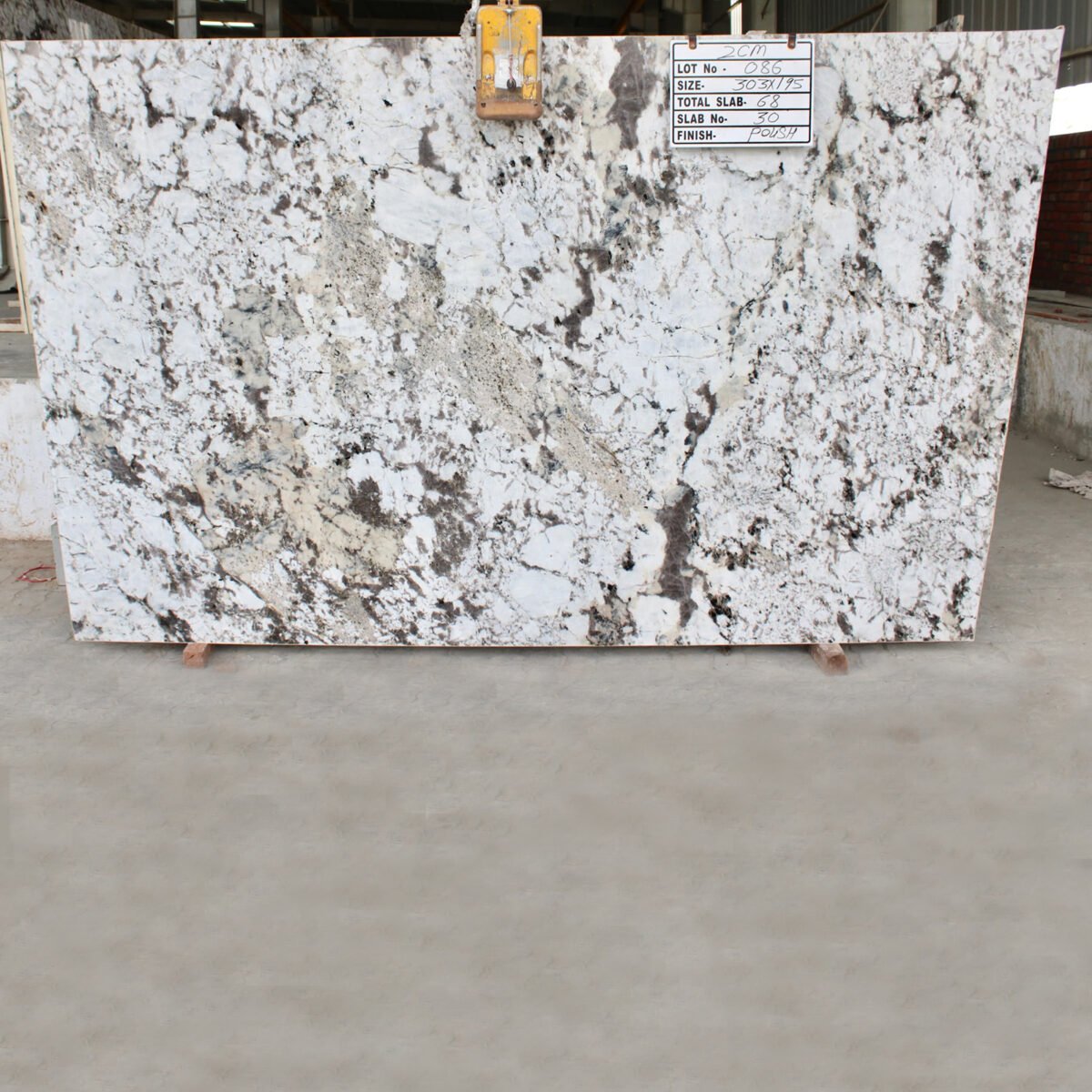Alpinus White Granite Slab with Crystal Patterns