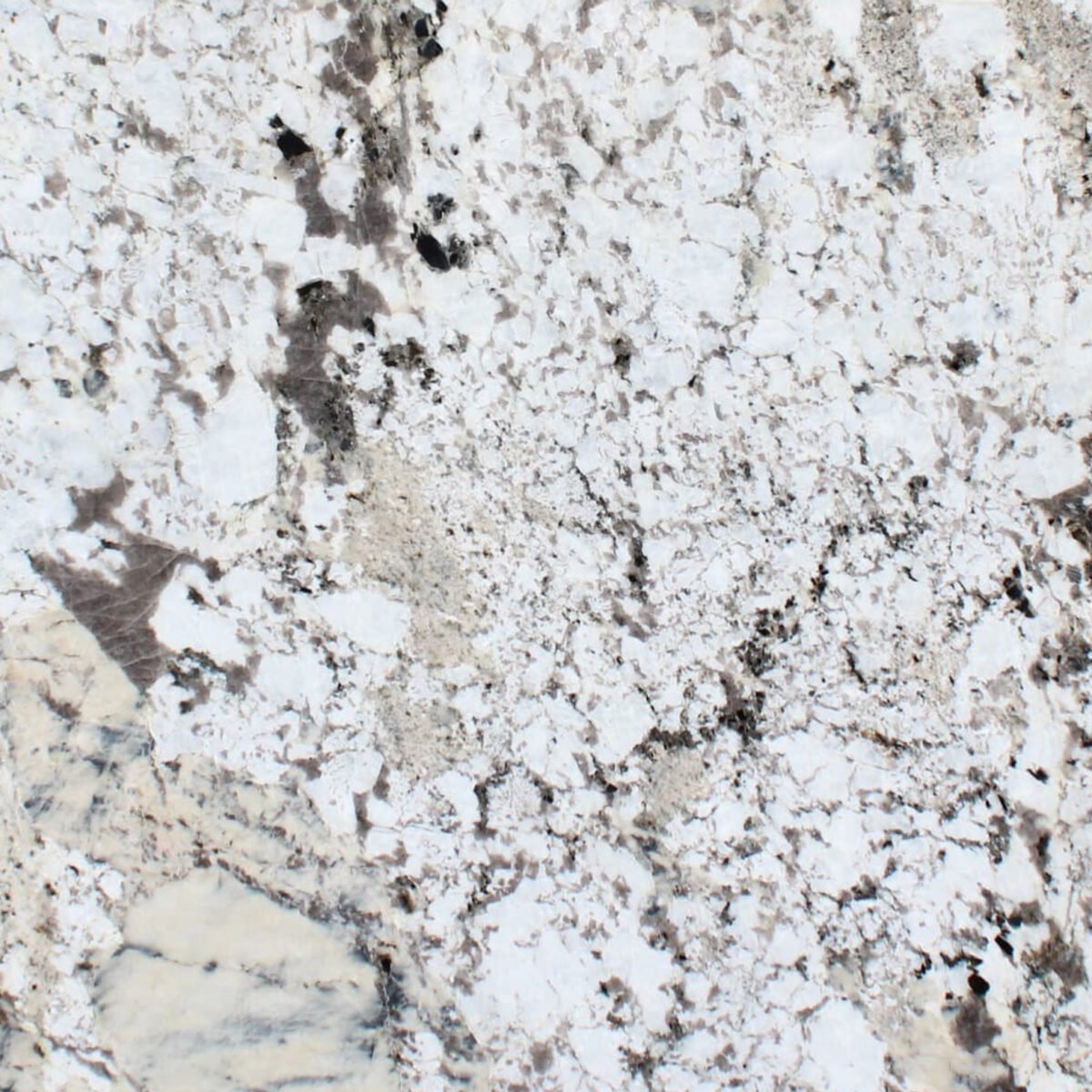Alpinus White Granite Slab with Crystal Patterns