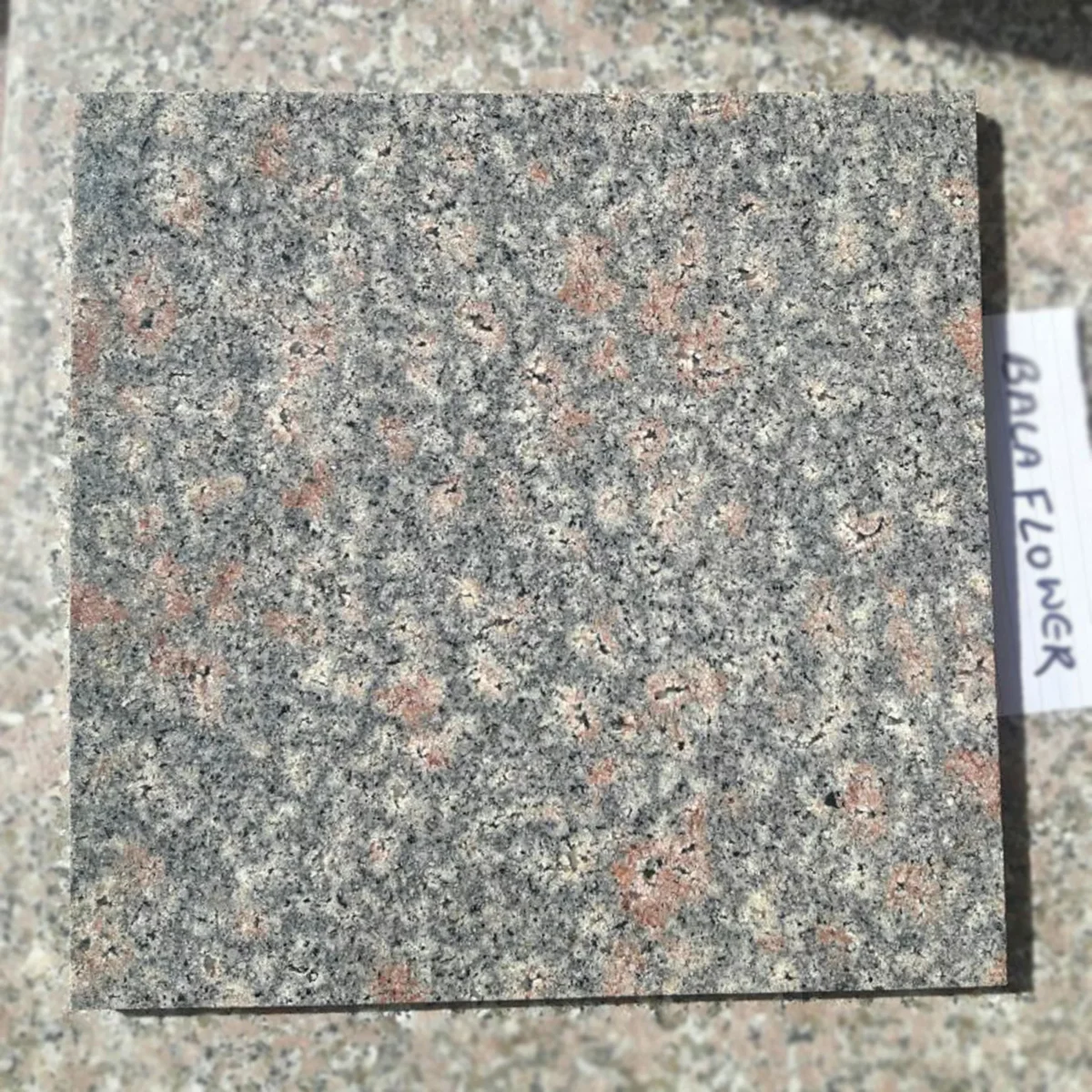 Bala Flower Granite Slab with Red and Grey Swirls