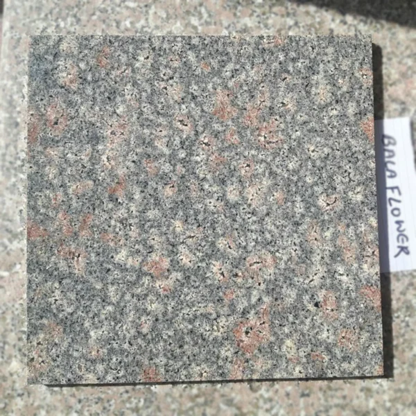 Bala Flower Granite Slab with Red and Grey Swirls
