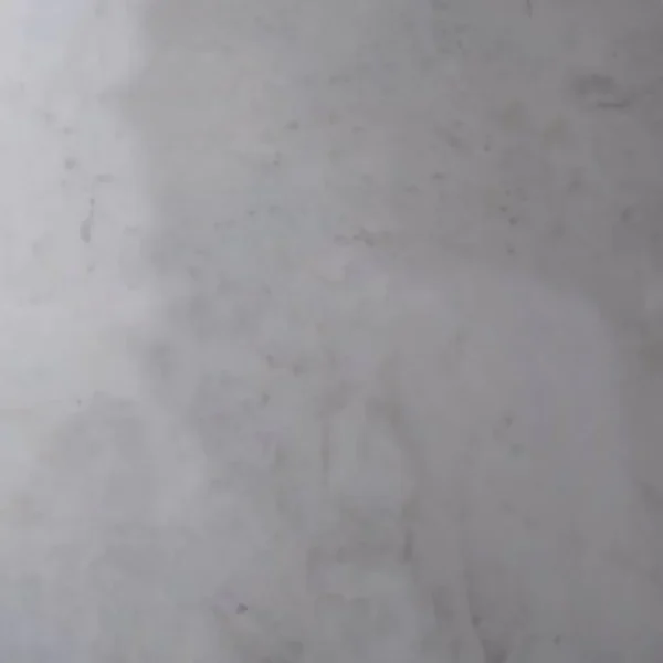 Dharmeta White Marble slab with elegant light veining