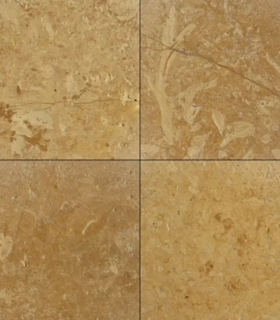 Flowery Gold Sandstone Tiles India