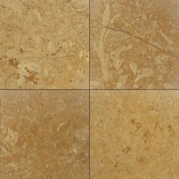 Flowery Gold Sandstone Tiles India