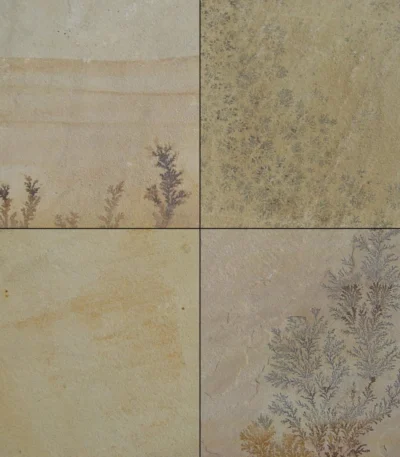 Fossil Mint sandstone tiles
