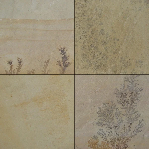 Fossil Mint sandstone tiles