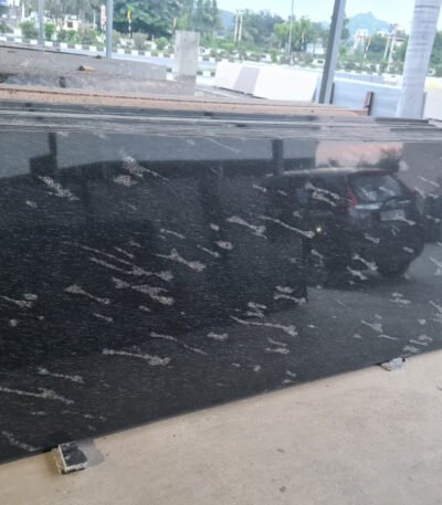 Fish Black Granite Slab with Natural Patterns