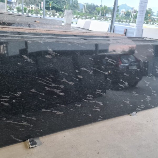 Fish Black Granite Slab with Natural Patterns