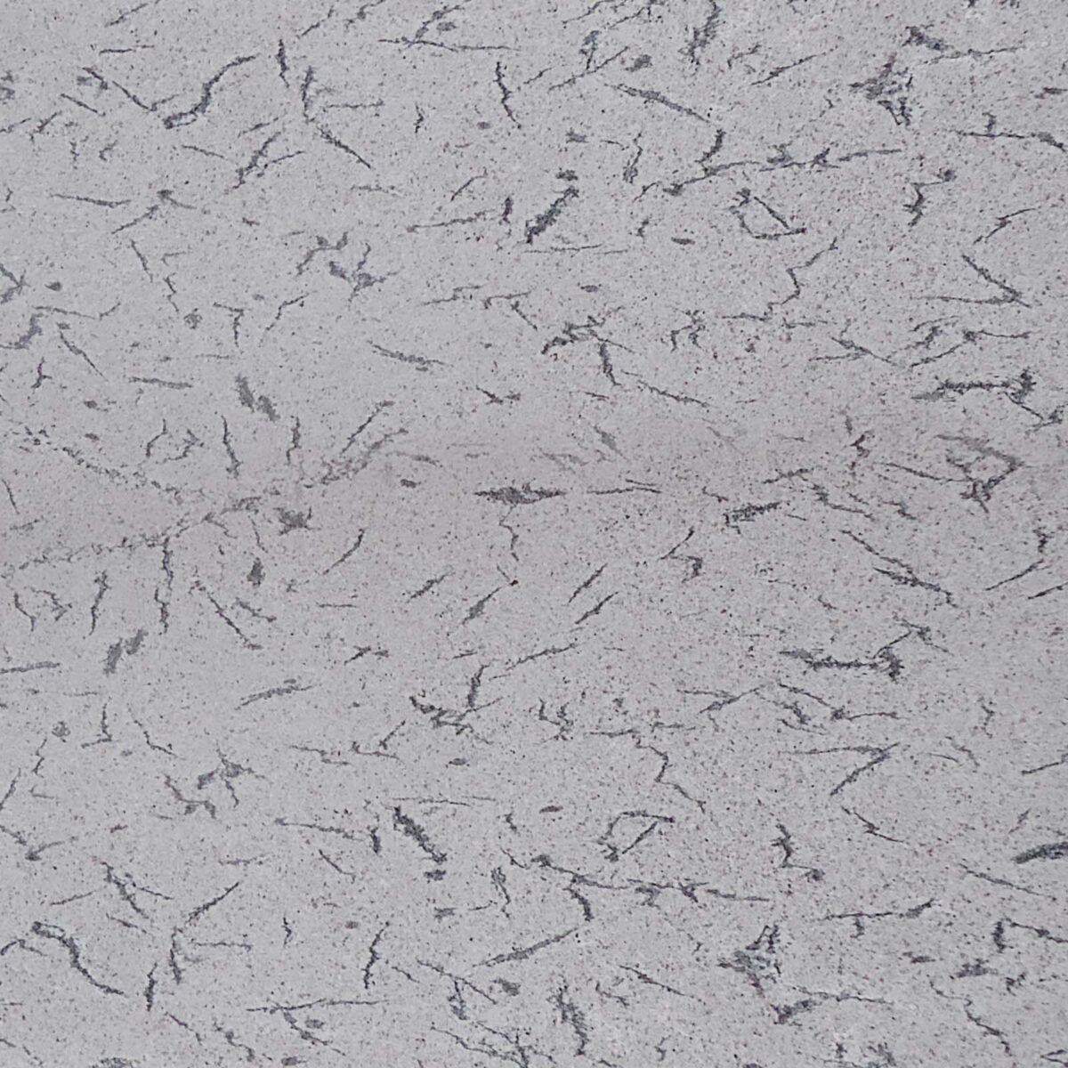 French White Granite Slab Polished Finish