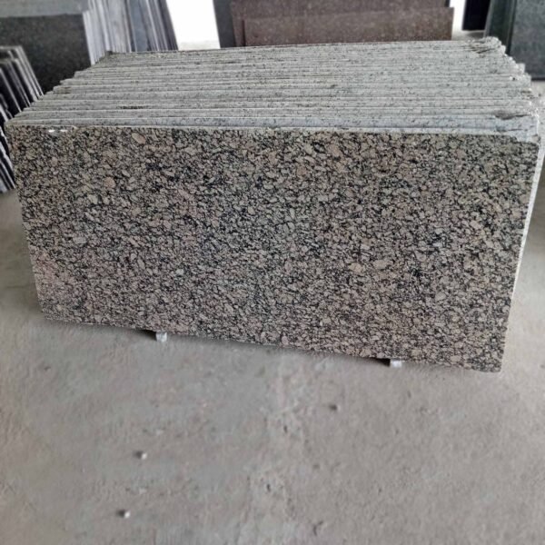 Rue Classic Granite Slab with Natural Beige Pattern