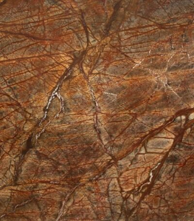Rain Forest Brown Marble slab with natural veining