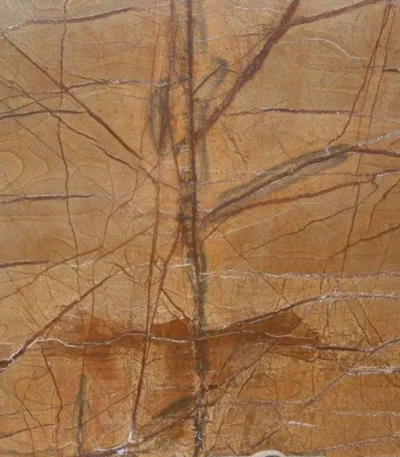 Rain Forest Golden Marble slab with golden-brown veining