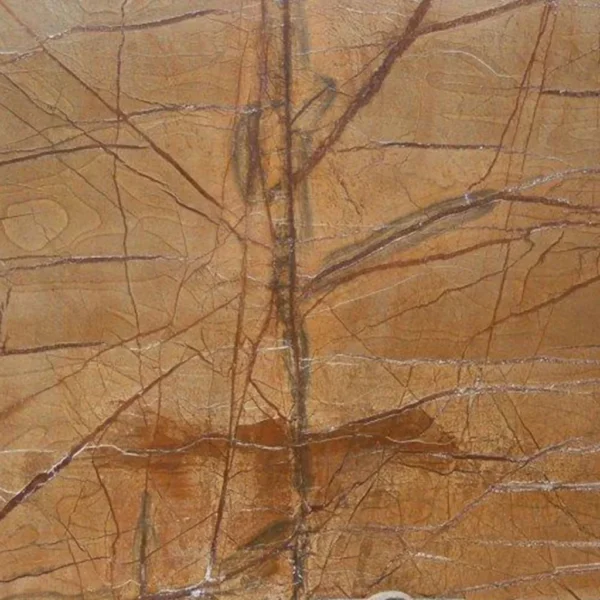 Rain Forest Golden Marble slab with golden-brown veining
