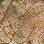 Indian Rain Forest Brown Marble for flooring and walls