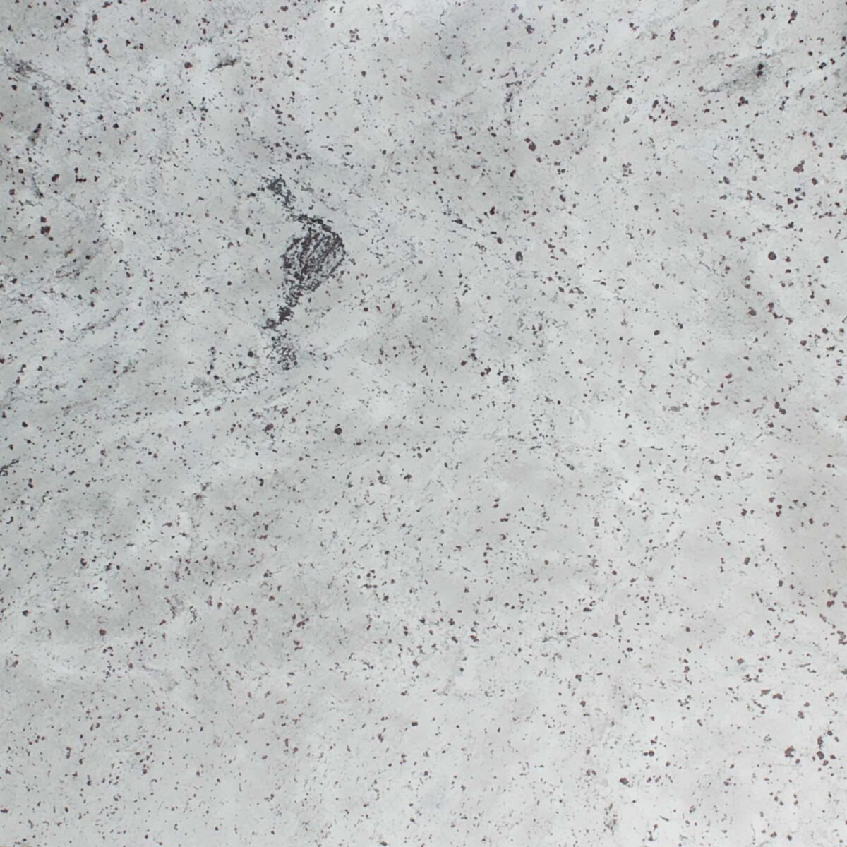 Titanium White Granite Slab with Grey Veins