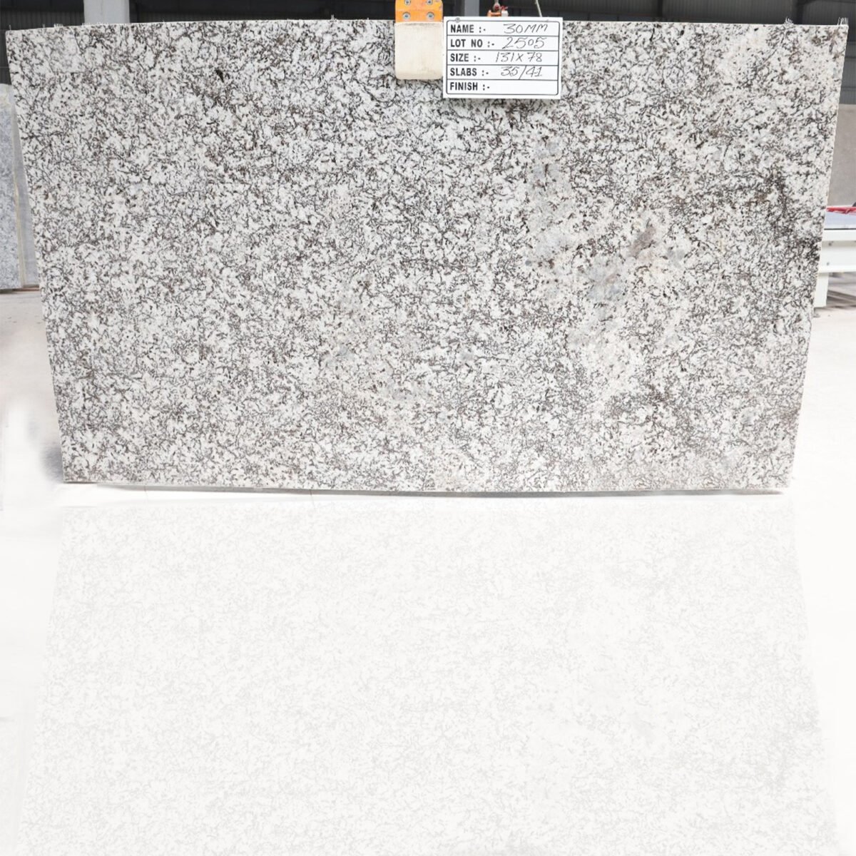 Polished Bianco White Granite slab with grey speckles